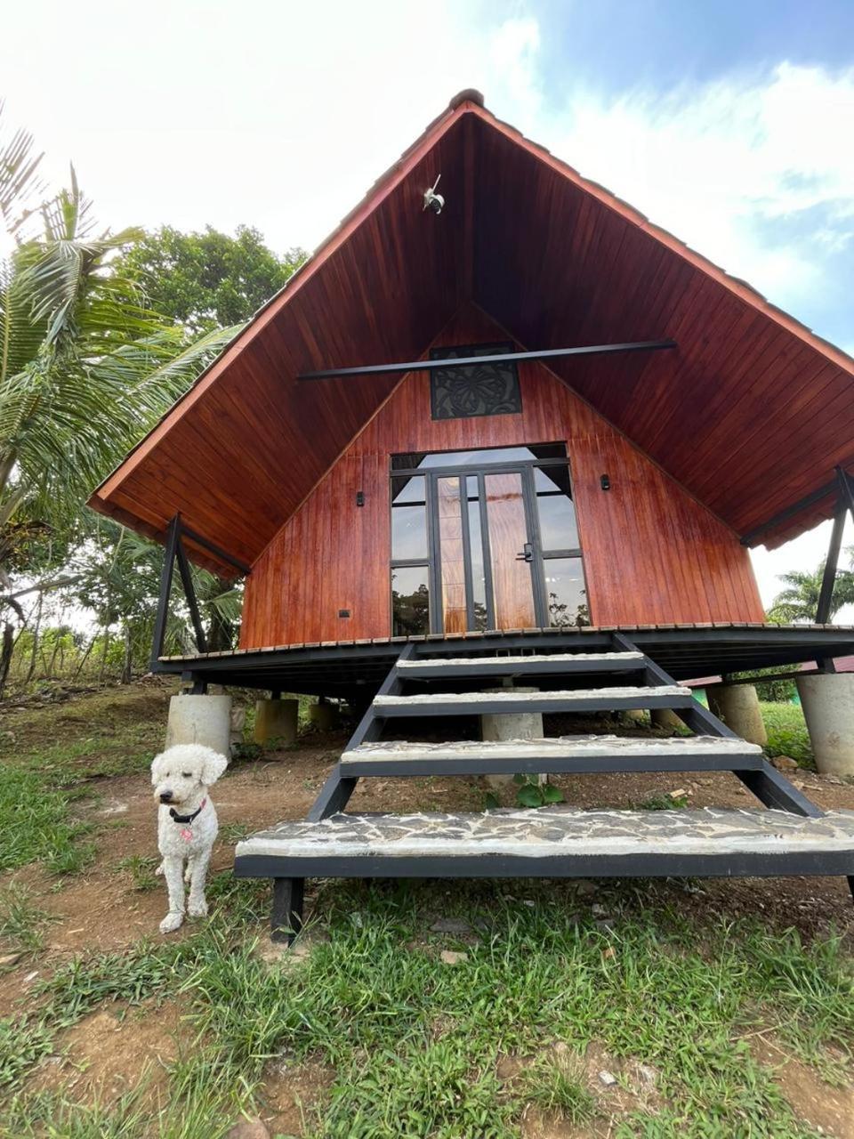 Myra Chalets 비자구아 외부 사진