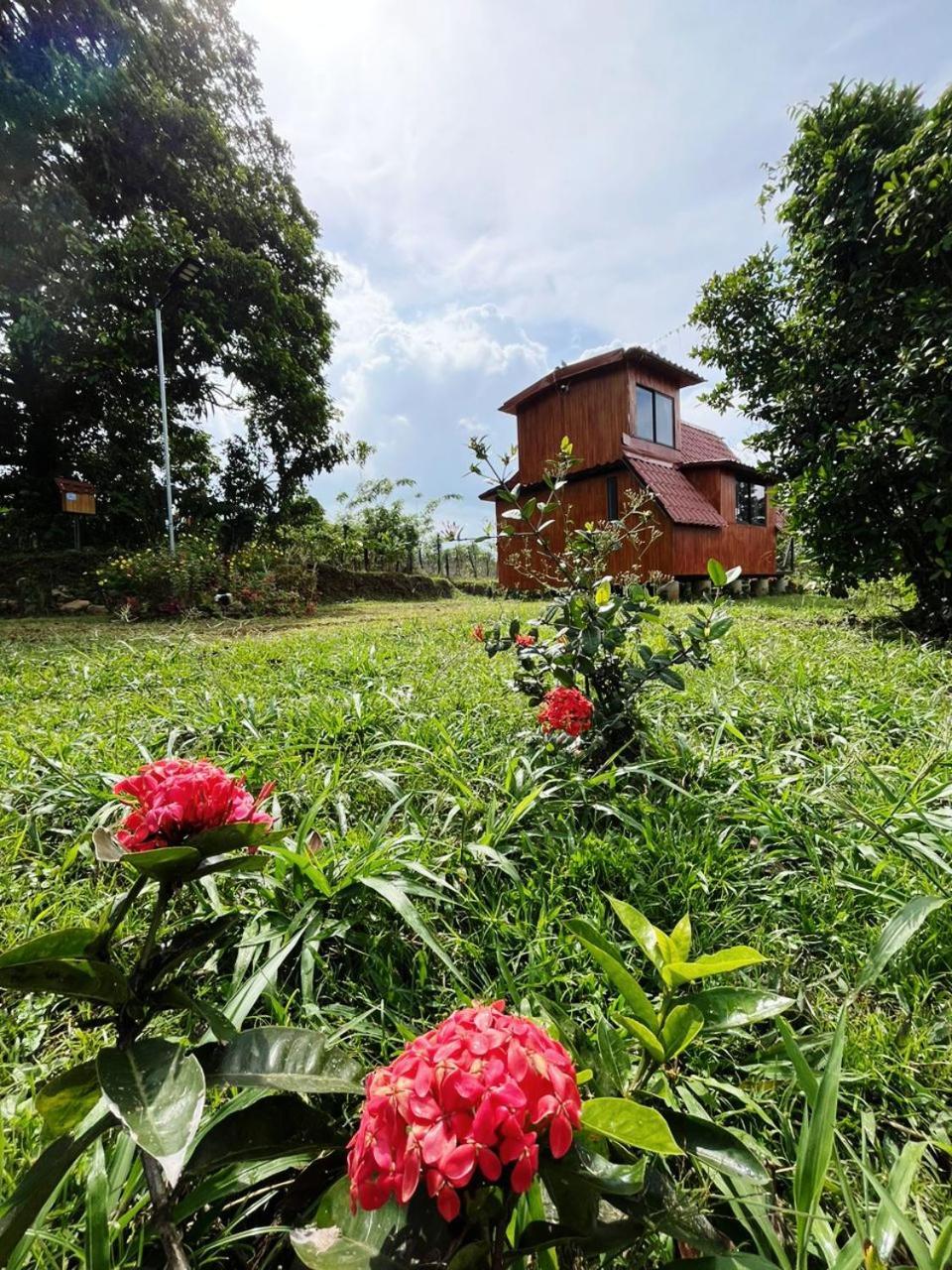 Myra Chalets 비자구아 외부 사진